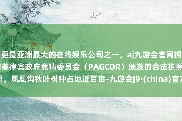 更是亚洲最大的在线娱乐公司之一，aj九游会官网拥有欧洲马耳他（MGA）和菲律宾政府竞猜委员会（PAGCOR）颁发的合法执照。凤凰沟秋叶树种占地近百亩-九游会J9·(china)官方网站-真人游戏第一品牌