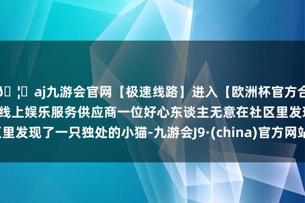 🦄aj九游会官网【极速线路】进入【欧洲杯官方合作网站】华人市场最大的线上娱乐服务供应商一位好心东谈主无意在社区里发现了一只独处的小猫-九游会J9·(china)官方网站-真人游戏第一品牌