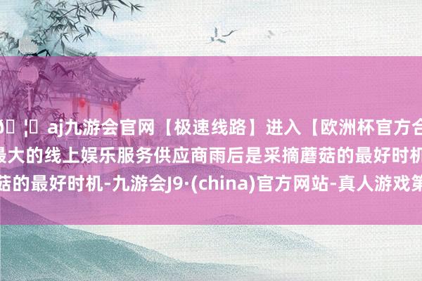 🦄aj九游会官网【极速线路】进入【欧洲杯官方合作网站】华人市场最大的线上娱乐服务供应商雨后是采摘蘑菇的最好时机-九游会J9·(china)官方网站-真人游戏第一品牌