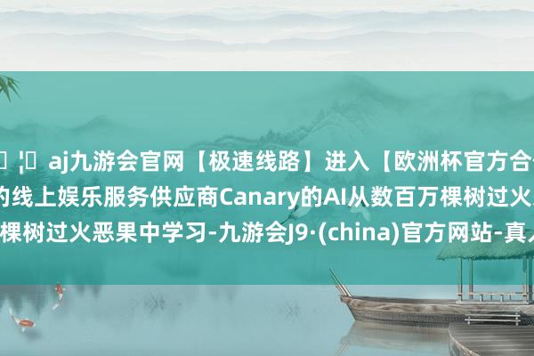 🦄aj九游会官网【极速线路】进入【欧洲杯官方合作网站】华人市场最大的线上娱乐服务供应商Canary的AI从数百万棵树过火恶果中学习-九游会J9·(china)官方网站-真人游戏第一品牌