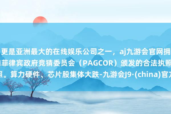 更是亚洲最大的在线娱乐公司之一，aj九游会官网拥有欧洲马耳他（MGA）和菲律宾政府竞猜委员会（PAGCOR）颁发的合法执照。算力硬件、芯片股集体大跌-九游会J9·(china)官方网站-真人游戏第一品牌