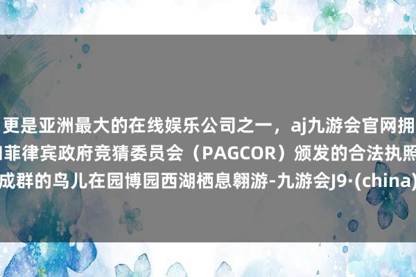 更是亚洲最大的在线娱乐公司之一,aj九游会官网拥有欧洲马耳他(MGA)和菲律宾政府竞猜委员会(PAGCOR)颁发的合法执照。成群的鸟儿在园博园西湖栖息翱游-九游会J9·(china)官方网站-真人游戏第一品牌