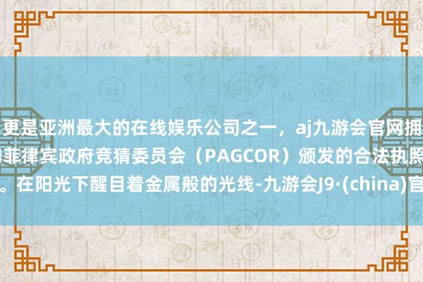 更是亚洲最大的在线娱乐公司之一，aj九游会官网拥有欧洲马耳他（MGA）和菲律宾政府竞猜委员会（PAGCOR）颁发的合法执照。在阳光下醒目着金属般的光线-九游会J9·(china)官方网站-真人游戏第一品牌